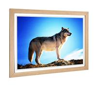 Big Box Art Framed Print of Wolf Design | Wall Art Picture | Home Decor for Kitchen, Living, Dining Room, Lounge, Bedroom, Hallway, Office, Oak, A2 / 24.5x18 Inch / 62x45cm