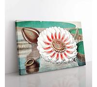 Big Box Art Gigantic Water Lily in Full Bloom by William Sharp Canvas Wall Art Print Ready to Hang Picture, 76 x 50 cm (30 x 20 Inch), White, Beige, Green, Brown, Orange