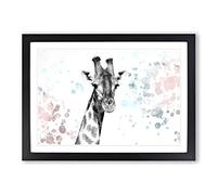 Big Box Art Giraffe with Paint Splashes in Abstract Framed Wall Art Picture Print Ready to Hang, Black A2 (62 x 45 cm)