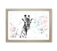 Big Box Art Giraffe with Paint Splashes in Abstract Framed Wall Art Picture Print Ready to Hang, Oak A2 (62 x 45 cm)