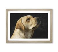 Big Box Art Golden Labrador Dog Vol.1 Painting Framed Wall Art Picture Print Ready to Hang, Oak A2 (62 x 45 cm)