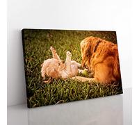 Big Box Art Golden Retriever Dog and Puppy Canvas Wall Art Print Ready to Hang Picture, 76 x 50 cm (30 x 20 Inch), Multi-Coloured