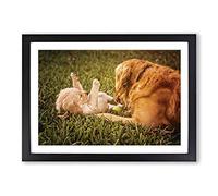 Big Box Art Golden Retriever Dog and Puppy Framed Wall Art Picture Print Ready to Hang, Oak A2 (62 x 45 cm)