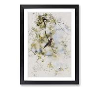 Big Box Art Goldfinch Bird in A Cherry Tree Watercolour Framed Wall Art Picture Print Ready to Hang, Black A2 (62 x 45 cm)