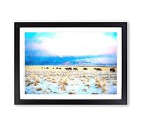 Big Box Art Grazing Bison in Utah Painting Framed Wall Art Picture Print Ready to Hang, Black A2 (62 x 45 cm)