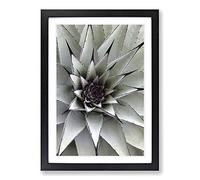 Big Box Art Green Succulent Cactus Framed Wall Art Picture Print Ready to Hang, Oak A2 (62 x 45 cm)
