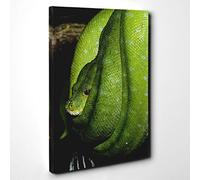Big Box Art Green Tree Python Snake 4 Canvas Wall Art Print Ready to Hang Picture, 30 x 20 Inch (76 x 50 cm), Multi-Coloured