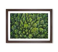 Big Box Art Green Tree Tops Painting Framed Wall Art Picture Print Ready to Hang, Walnut A2 (62 x 45 cm)
