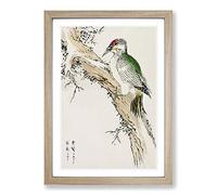 Big Box Art Green Woodpecker by Numata Kashu Framed Wall Art Picture Print Ready to Hang, Oak A2 (62 x 45 cm)