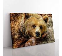 Big Box Art Grizzly Brown Bear Canvas Wall Art Print Ready to Hang Picture, 76 x 50 cm (30 x 20 Inch), Multi-Coloured