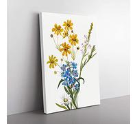 Big Box Art Group of Flowers Vol.2 by Mary Vaux Walcott Canvas Wall Art Print Ready to Hang Picture, 76 x 50 cm (30 x 20 Inch), White, Gold, Gold