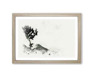 Big Box Art Growing Bonsai Tree in Abstract Framed Wall Art Picture Print Ready to Hang, Oak A2 (62 x 45 cm)