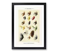 Big Box Art Hackles Fishing by Mary Orvis Marbury Framed Wall Art Picture Print Ready to Hang, Black A2 (62 x 45 cm)