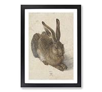 Big Box Art Hare by Albrecht Durer Framed Wall Art Picture Print Ready to Hang, Black A2 (62 x 45 cm)