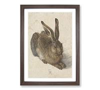Big Box Art Hare by Albrecht Durer Framed Wall Art Picture Print Ready to Hang, Walnut A2 (62 x 45 cm)