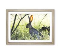 Big Box Art Hare in The Meadow Framed Wall Art Picture Print Ready to Hang, Oak A2 (62 x 45 cm)