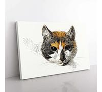 Big Box Art Head of a Calico Cat Canvas Wall Art Print Ready to Hang Picture, 76 x 50 cm (30 x 20 Inch), White, Brown, Grey, Black, Cream