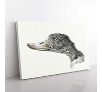 Big Box Art Head of a Duck by Jean Bernard Canvas Wall Art Print Ready to Hang Picture, 76 x 50 cm (30 x 20 Inch), White, Grey, Black