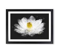 Big Box Art Heart of A White Lily Paint Splash Framed Wall Art Picture Print Ready to Hang, Black A2 (62 x 45 cm)