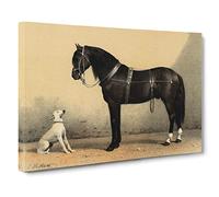Big Box Art Horse & Hound by Emil Volkers Canvas Wall Art Framed Picture Print, 30 x 20 Inch (76 x 50 cm), Gold, Brown, Blue, Green, Brown