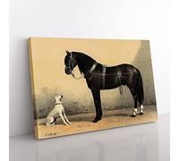 Big Box Art Horse & Hound by Emil Volkers Canvas Wall Art Print Ready to Hang Picture, 76 x 50 cm (30 x 20 Inch), Gold, Brown, Blue, Green, Brown