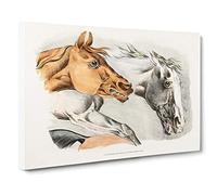 Big Box Art Horse Illustrations by Henry Alken Canvas Wall Art Framed Picture Print, 30 x 20 Inch (76 x 50 cm), White, Grey, Cream, Brown, Cream