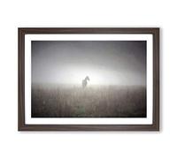 Big Box Art Horse Mist Sweden Landscape Framed Wall Art Picture Print Ready to Hang, Walnut A2 (62 x 45 cm)