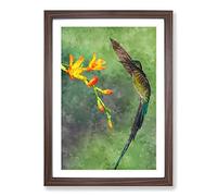 Big Box Art Hummingbird by The Flower Painting Framed Wall Art Picture Print Ready to Hang, Walnut A2 (62 x 45 cm)