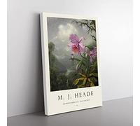 Big Box Art Hummingbird On The Orchid Plant Martin Johnson Heade Canvas Wall Art Print Ready to Hang Picture, 76 x 50 cm (30 x 20 Inch), Exhibition