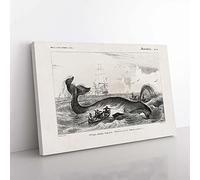 Big Box Art Hunting a Bowhead Whale by Charles d' Orbigny Canvas Wall Art Print Ready to Hang Picture, 76 x 50 cm (30 x 20 Inch), White, Grey, Black