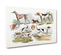 Big Box Art Hunting Dogs by Henry Alken Canvas Wall Art Framed Picture Print, 30 x 20 Inch (76 x 50 cm), White, Brown, Green, Cream, Brown