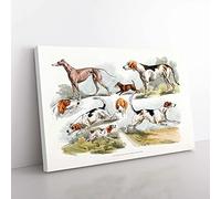 Big Box Art Hunting Dogs by Henry Alken Canvas Wall Art Print Ready to Hang Picture, 76 x 50 cm (30 x 20 Inch), White, Brown, Green, Cream, Brown