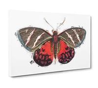 Big Box Art Icarus Moth by George Shaw Canvas Wall Art Framed Picture Print, 30 x 20 Inch (76 x 50 cm), White, Green, Brown, Red