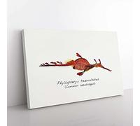 Big Box Art Illustration of a Common Seadragon by F.E. Clarke Canvas Wall Art Print Ready to Hang Picture, 76 x 50 cm (30 x 20 Inch), White, Red, Grey, Brown