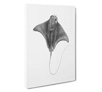 Big Box Art Illustration of a Ray Fish Canvas Wall Art Framed Picture Print, 30 x 20 Inch (76 x 50 cm), White, Grey, Black