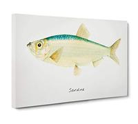 Big Box Art Illustration of a Sardine by F.E. Clarke Canvas Wall Art Framed Picture Print, 30 x 20 Inch (76 x 50 cm), White, Green, Yellow
