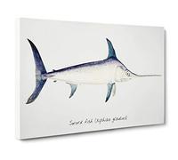 Big Box Art Illustration of a Swordfish by F.E. Clarke Canvas Wall Art Framed Picture Print, 30 x 20 Inch (76 x 50 cm), White, Grey