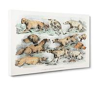 Big Box Art Illustration of Hounds by Henry Alken Canvas Wall Art Framed Picture Print, 30 x 20 Inch (76 x 50 cm), White, Grey, Gold, Cream, Black