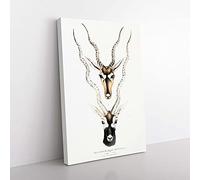 Big Box Art Indian Antelope by John Edward Gray Canvas Wall Art Print Ready to Hang Picture, 76 x 50 cm (30 x 20 Inch), White, Grey, Green