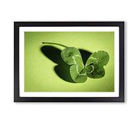 Big Box Art Irish Four Leaf Clover Framed Wall Art Picture Print Ready to Hang, Oak A2 (62 x 45 cm)