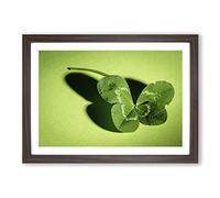 Big Box Art Irish Four Leaf Clover Framed Wall Art Picture Print Ready to Hang, Walnut A2 (62 x 45 cm)