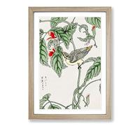 Big Box Art Japanese Tree-Creeper Bird by Numata Kashu Framed Wall Art Picture Print Ready to Hang, Oak A2 (62 x 45 cm)