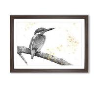 Big Box Art Kingfisher Bird on a Branch Painting Framed Wall Art Picture Print Ready to Hang, Walnut A2 (62 x 45 cm)