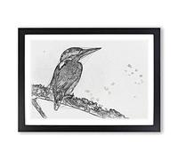 Big Box Art Kingfisher Bird on a Branch Sketch Framed Wall Art Picture Print Ready to Hang, Black A2 (62 x 45 cm)
