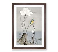 Big Box Art Kingfisher with Lotus Flower by Ohara Koson Framed Wall Art Picture Print Ready to Hang, Walnut A2 (62 x 45 cm)