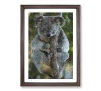 Big Box Art Koala Bear Vol.1 Painting Framed Wall Art Picture Print Ready to Hang, Walnut A2 (62 x 45 cm)