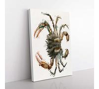 Big Box Art Lady Crab by J.E. De Kay Canvas Wall Art Print Ready to Hang Picture, 76 x 50 cm (30 x 20 Inch), White, Brown, Green, Black, Cream