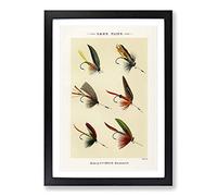 Big Box Art Lake Fishing Flies Version 2 by Mary Orvis Marbury Framed Wall Art Picture Print Ready to Hang, Black A2 (62 x 45 cm)