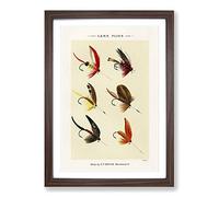 Big Box Art Lake Fishing Flies Version 8 by Mary Orvis Marbury Framed Wall Art Picture Print Ready to Hang, Walnut A2 (62 x 45 cm)