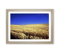 Big Box Art Landscape Kansas Wheat Field USA Framed Wall Art Picture Print Ready to Hang, Oak A2 (62 x 45 cm)